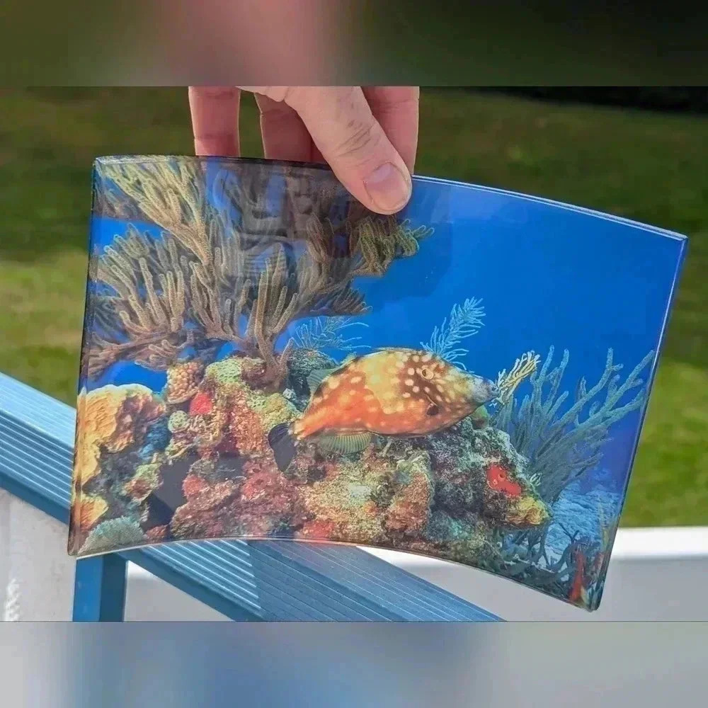 Ocean Visits Underwater Photography Acrylic Whitespotted Filefish Picture (NWT)